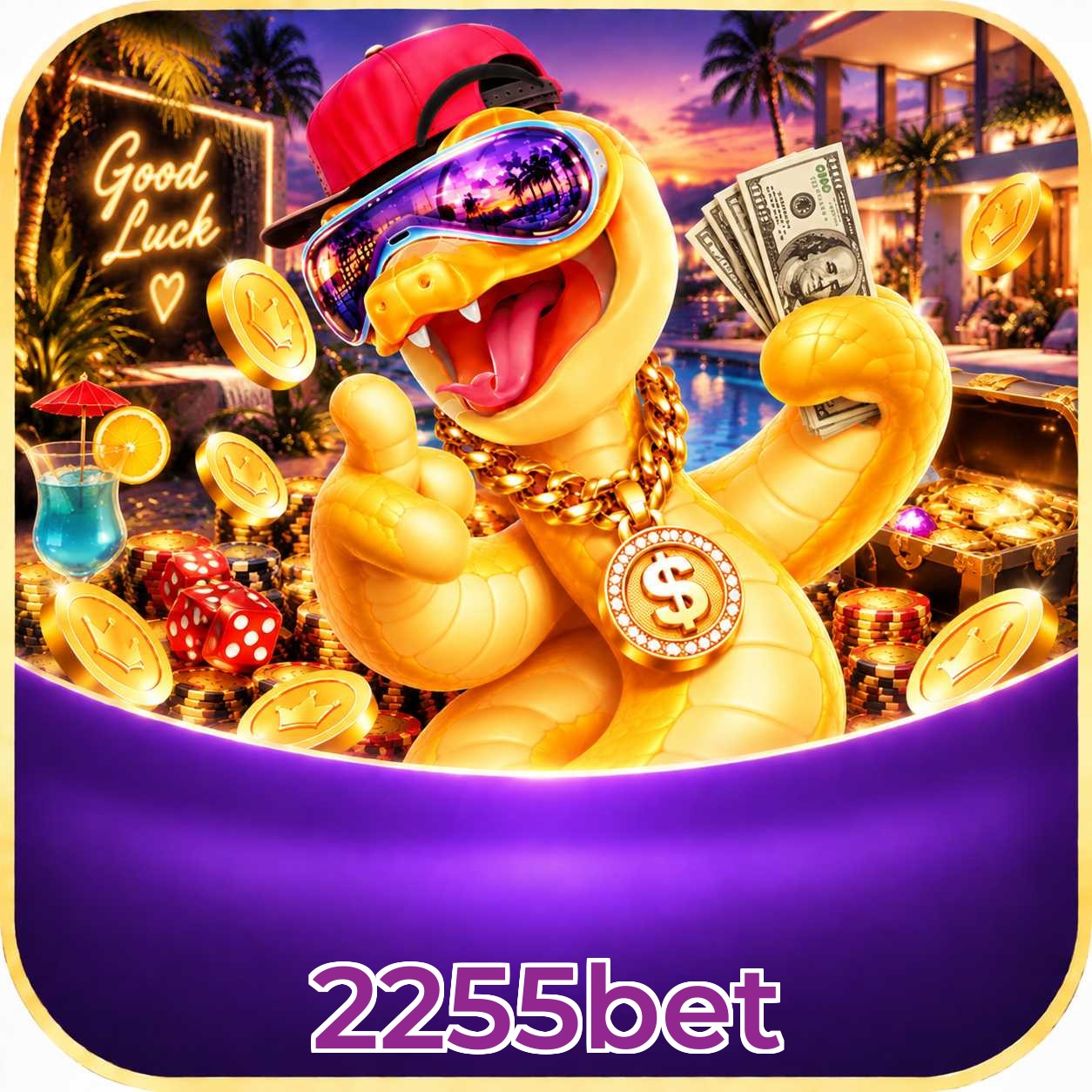 2255bet App vs Web